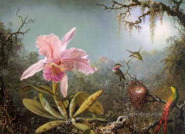 Animal Painting - Orquídea Cattelya y tres colibríes brasileños Flor romántica Aves Martin Johnson Heade